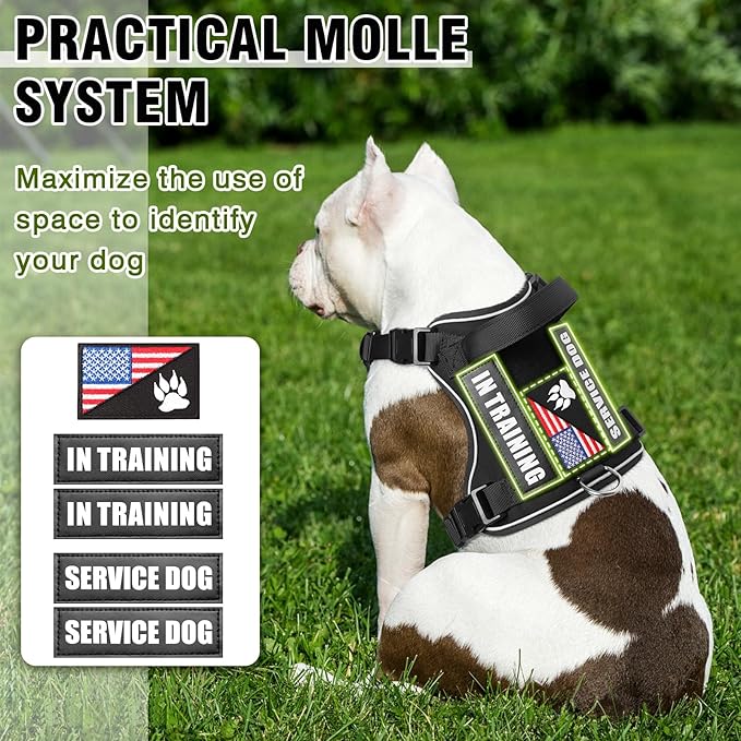 WINSEE Service Dog in Training Harness with 5 PCS Patches, Reflective Tactical Dog Vest Harness, Adjustable Soft Oxford Pet Harness with Easy Control Handle, Hook & Loop Panels for Walking Hiking