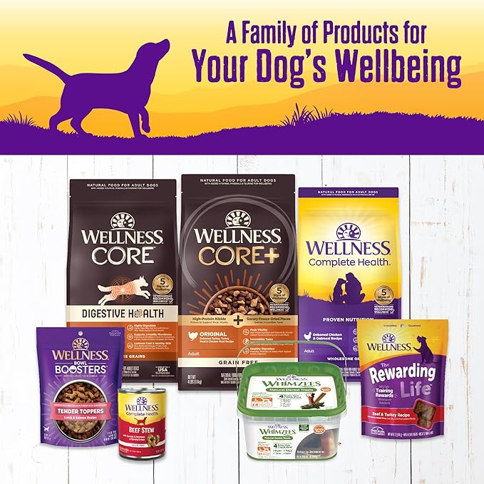 Wellness Complete Health Thick & Chunky Natural Canned Wet Dog Food, Lamb & Beef Stew, 12.5-Ounce Can (Pack of 12)