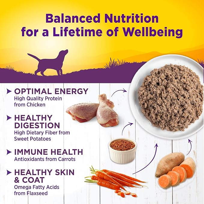 Wellness Complete Health Natural Wet Canned Dog Food, Chicken & Sweet Potato, 12.5-Ounce Can (Pack of 12)