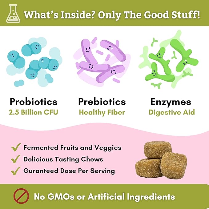 Wholistic Pet Organics:Dog Probiotics and Digestive Enzymes-Probiotic Chews for Dogs Digestive Health,Support Gut Health Immune Supplement Prevents Dog Digestive Problems (Original, 240 Count)