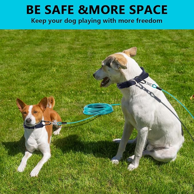Dog Tie Out Cable 10FT-500Lbs,Heavy Duty Dog Leads&Tether for Yard with Swivel Hook,Small Large Dogs Leash Line for Outside,Rust Chew Proof Dogs Run Cable for Outdoor Camping(Teal, 10FT)