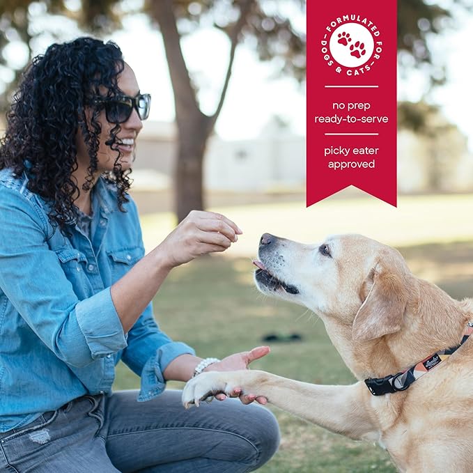 smallbatch Freeze Dried Dog Treats, Superfood Food Topper Beef Bites for Dogs & Cats, Probiotics, Organic Ingredients, High Protein, Grain Free Healthy Treat Food Topper, Made in The USA, 7 oz Bag