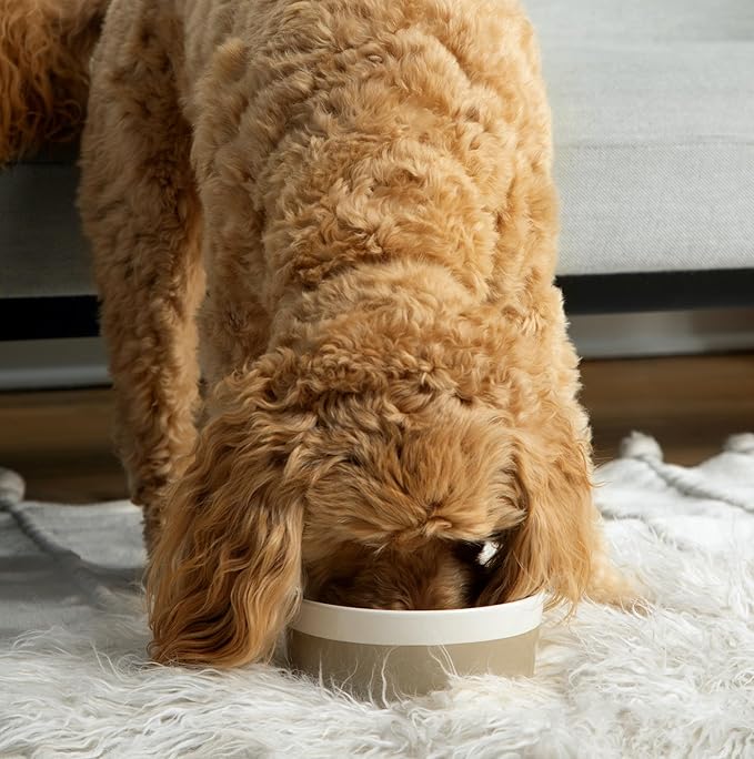 Waggo Dipper Ceramic Dog Bowl for Small and Large Breeds - Heavyweight and Durable Pet Food and Water Dish Crock, Dishwasher Safe, Modern (Vintage Grey, Medium)