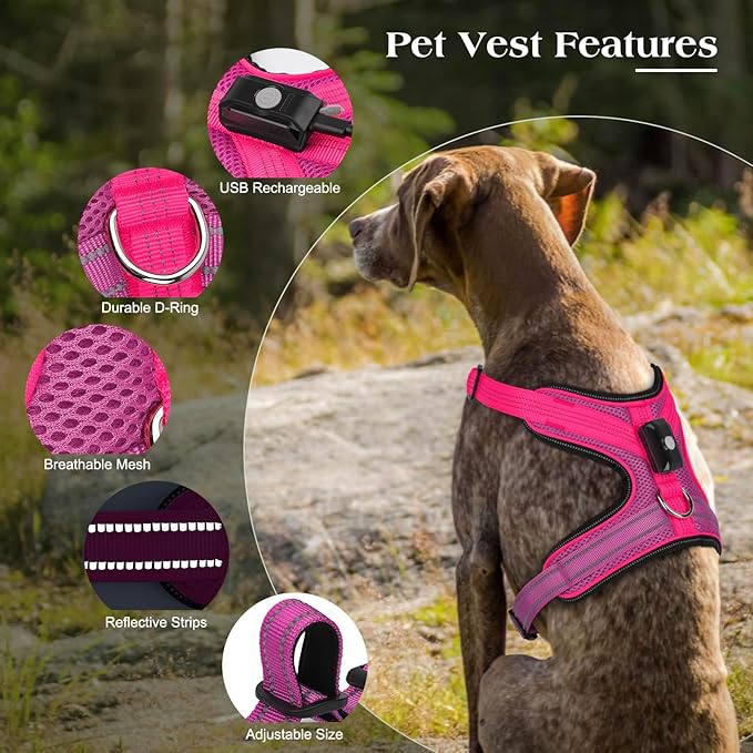 Light Up Dog Harness, Rechargeable LED Dog Harness with Battery Level Indicator, Adjustable Reflective Safety Vest for Night Walking, Soft Mesh Lighted Harness for Medium Large Dogs(5-90lbs)