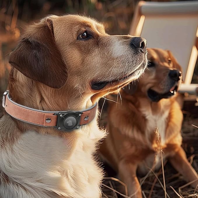 AirTag Dog Collar - Leather Dog Collar with Air Tag Holder | IPX8 Waterproof, Reflective, High - End, Adjustable Soft Padded | Dog GPS Tracker Collars Fit for Medium Large Dogs (Mahogany Brown, L)