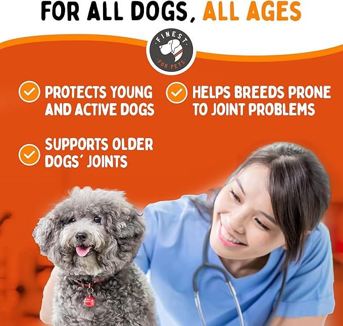 Rejenease Liquid Glucosamine for Dogs with Chondroitin, MSM & Hyaluronic Acid – Finest For Pets Hip & Joint Supplement for Dog Joint Support, Mobility, Stiffness & Pain Relief (32 oz, Made in USA)