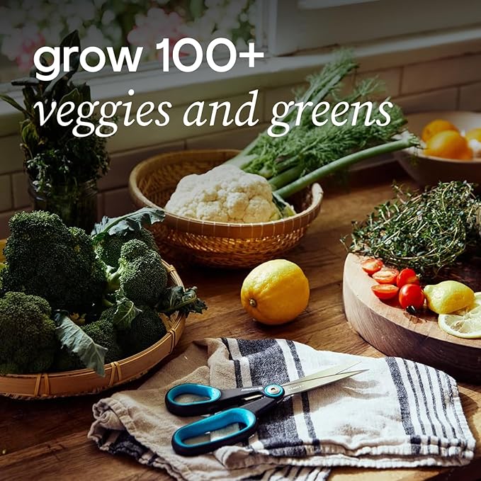 Farmstand Starter Kit with Glow Rings and 12 Seedling Credits | Tiny Hydroponic Growing System Kit | Vertical Garden Planter Tower | 3ft 8in Tall