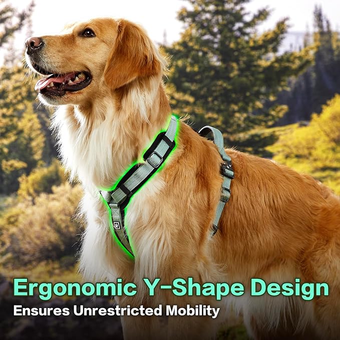 CLEPAWS Dog Harness for Small Dogs, No Pull Dog Harness Easy Walk with Metal Hardware, Ergonomic Y-Shaped Design, Soft Padding, Padded Handle, Durable High-Tensile Nylon (Seabreeze, S)