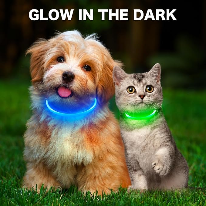 BSEEN Light Up Dog Collar, High Visibility LED Dog Collar Rechargeable- Rainproof TPU Cuttable Glowing Pet Collar for Small Dogs & Cats - Puppy Safety Lights for Night Walking (XS- Blue 40cm)