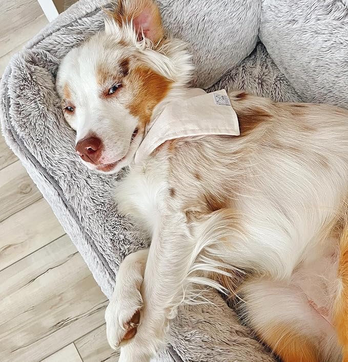 FUZI Luxury Aesthetic Dog Bed with Extra Cover for Small Dogs, Washable Pet Couch, Pet Bed with Sides, Non-Slip Bottom, Soft & Durable Calming Dog Bed, Faux Rabbit Fur, Small 25.1x16.75x9.5 Soft White