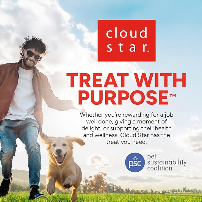 Dogswell Skin & Coat Mini Jerky Dog Treats, Salmon, 4 oz. Bag