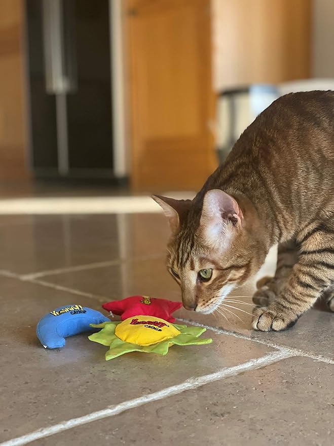 YEOWWW Catnip Cat Toy for Indoor and Outdoor Cats -Premium Quality Strong Catnip Toys for Cats (1x Crinkle Catnip Toy Sun 1 x Moon 1x Star)