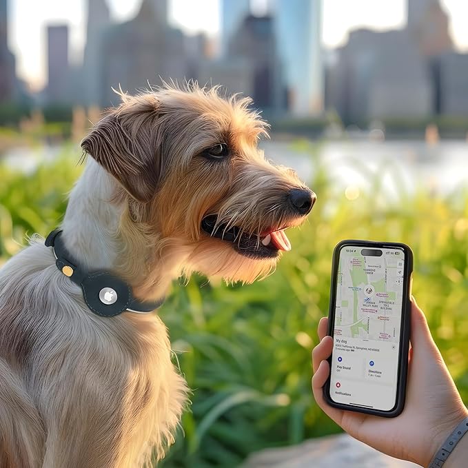 OOPSDOGGY Rolled Leather Dog Collar with Airtag Holder - Reflective Round Airtag Dog Collar - Soft Tracking Pet Collar for Small Dogs Puppy Cats Kitten (Green, L, 14"-18")