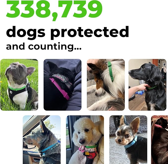 FurLife Flea and Tick Collar for Dogs – Waterproof Green Dog Collar, Pet Supplies for Tick and Flea Prevention for Dogs, Safe for All Breeds