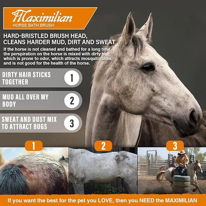 MAXIMILIAN World Class Handmade Equine Stiff Body Horse Brush. Professional Equine Grooming Tools. Effortlessly Removes Mud, Sweat and Dirt from Your Horses Hair.