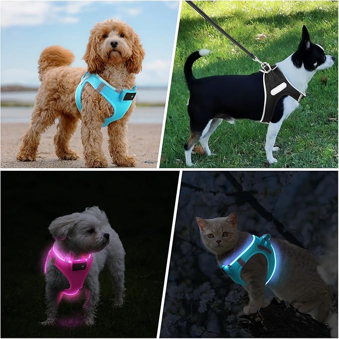 PceoTllar Light Up Dog Harness, LED No Pull Reflective Dog Harness, Flashing Lighted for Night Walking - Small/Medium, (Blue L)