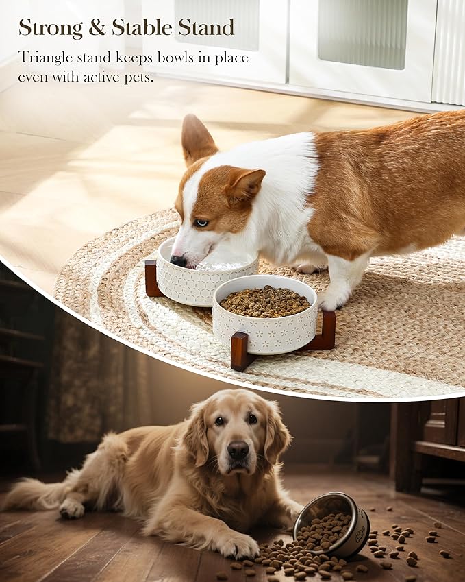 MALACASA Dog Bowl Set with Walnut Wood Stand, 3.5 Cups Ceramic Pet Bowls for Puppy Dogs, Dual Food and Water Bowls with Non-Slip Base, Basic Bowls for Your Dog or Cat, Five-Leaf Grass & Honeycomb