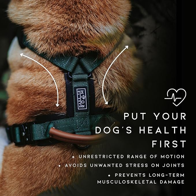 MADE TO ROAM Premium Explorer Harness - Y-Shaped Dog Harness with Adjustable Durable Nylon, Soft Padding, Metal Buckles and Leather Handle for Small, Medium, Large Dogs (Nevada Evening, Size 3)