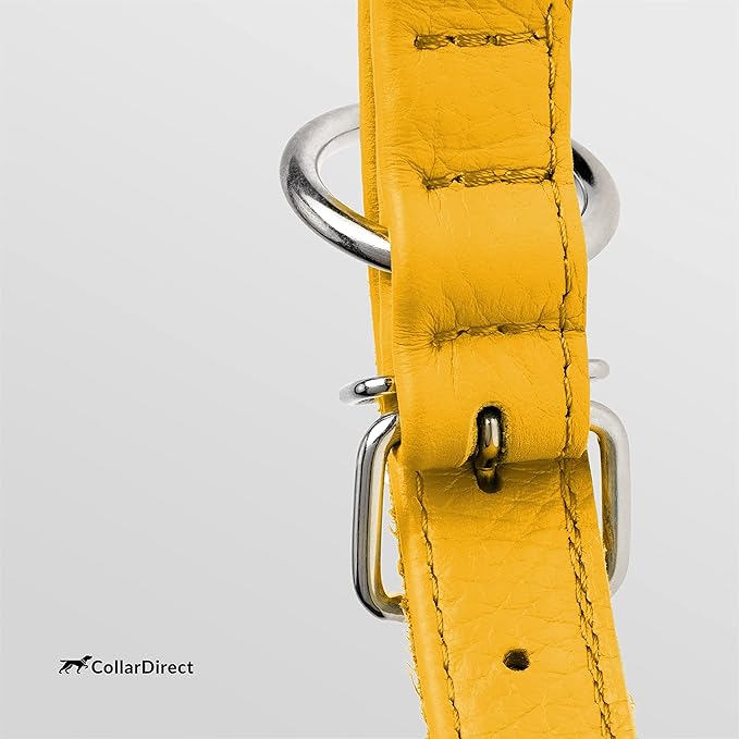 CollarDirect Rolled Leather Dog Collar, Soft Padded Round Puppy Collar, Handmade Genuine Leather Collar Dog Small Large Cat Collars 13 Colors (11-14 Inch, Yellow Textured)