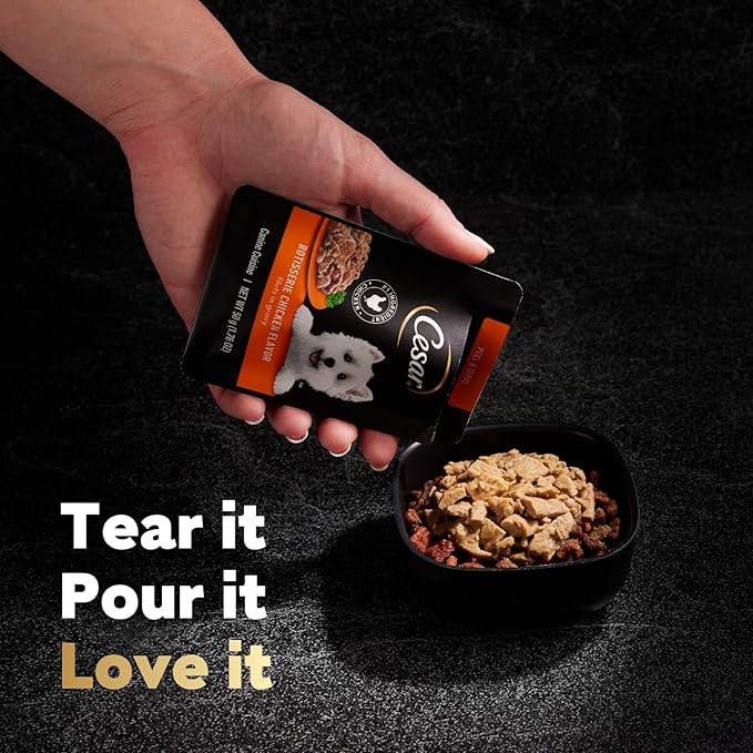 Cesar Filets in Gravy Wet Dog Food Rotisserie Chicken Flavor, 1.76 oz. Mini-Pouch (20 Count, Pack of 1)