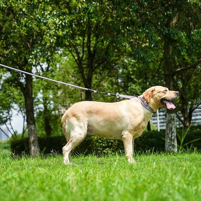 Rope Dog Leash, 4 ft Heavy Duty Dog Leash with Aviation Aluminum Auto Locking Carabiner, Strong Nylon Pet Lead for Small, Medium, Large Dogs (Brown, 4FT)