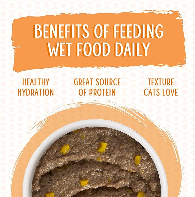 Weruva Wet Cat Food, Who Wants to be a Meowionaire with Chicken and Pumpkin Pate, 3oz Can, Pack of 12