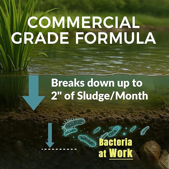 Muck Clear - 5LB Beneficial Bacteria for Ponds & Lake, Boost Enzymes, Sludge Odor Away, Outdoor Fish Pond Water Clarifier, Safe for Aquatic Life, Treats Up to 30,000 Sq Ft