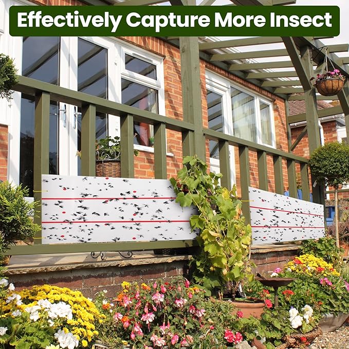 Qualirey Giant Sticky Fly Traps,30 Feet Fly Strips for Indoor Outdoor Hanging Flying Tapes Non Toxic Ribbon Fruit Gnat Killer for Mosquito Plants House Horse Stable (White,10 Pcs)
