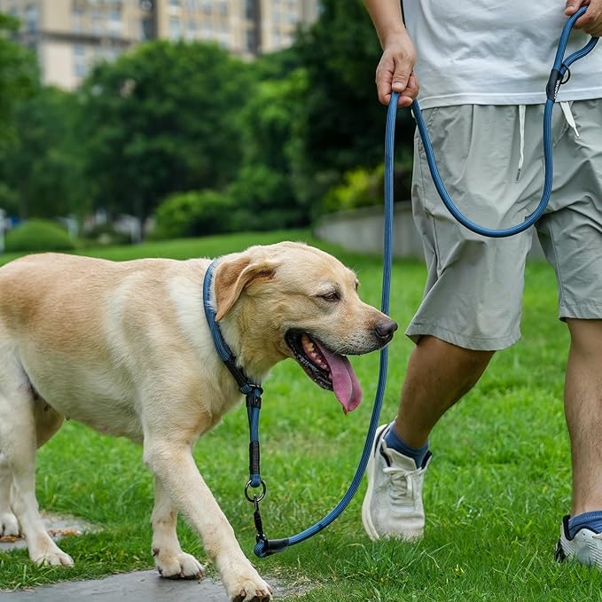 Rope Dog Leash with Two Handles, 6 Foot Heavy Duty Dog Leash with Aviation Aluminum Auto Locking Carabiner, Strong Nylon Pet Lead for Small, Medium, Large Dogs (Brown, 6FT-Two Handle)