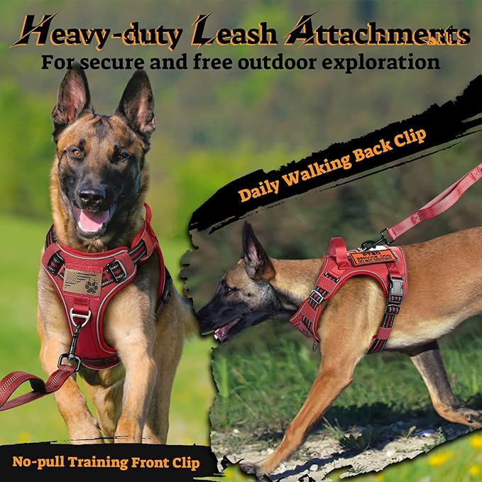 rabbitgoo Dog Harness Small Sized No Pull, Tactical Service Pet Vest with Molle and Control Handle, Adjustable and Reflective Military Harness for Easy Walking and Training, Red, S