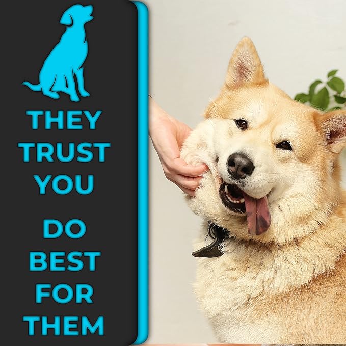 H&H Pets 360-Degree Bristle Toothbrush for Dogs and Cats - Super Soft Nylon bristles Tooth Brush, Puppy Supplies, Dog Brush Set, Pet Supplies Dog Grooming Kit Eco-Friendly (3-Count Pack)