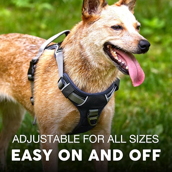 Embark Adventure Dog Harness, No-Pull Reflective Trim Dog Harness for Small, Medium & Large Dogs - Military Grade Nylon, 2 Leash Clips & Gel Lined Handle. Soft & Padded Puppy Dog Vest for Any Breed