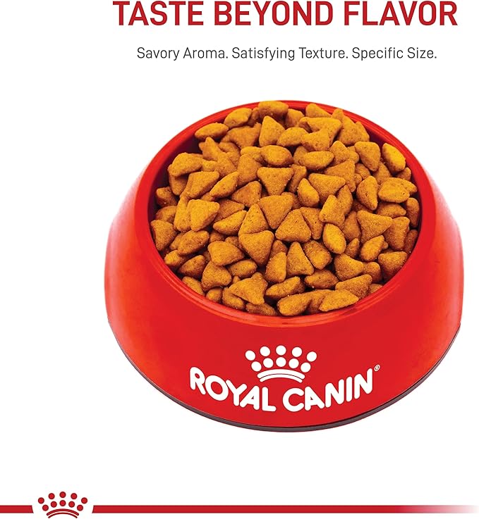 Royal Canin Indoor Adult Dry Cat Food, 15 lb bag