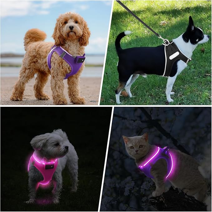PceoTllar Light Up Dog Harness, LED No Pull Reflective Dog Harness, Flashing Lighted for Night Walking - Small/Medium, (Purple,XS)