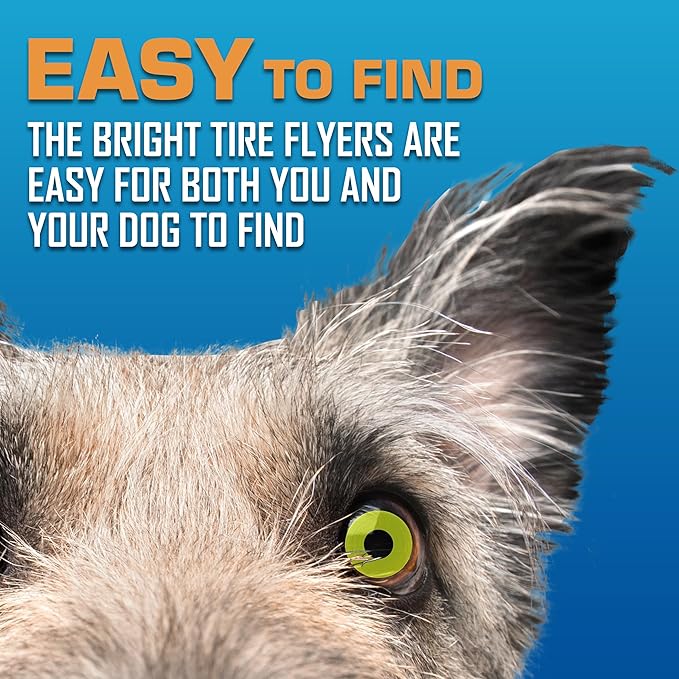 Nerf Dog Tire Flyer Dog Toy Gift Set, 10 Inch Flying Disc Dog Fetch Toys, Rubber Dog Toy for Medium Dogs and Large Dogs, Red, Translucent Green and Translucent Blue, 3 Count