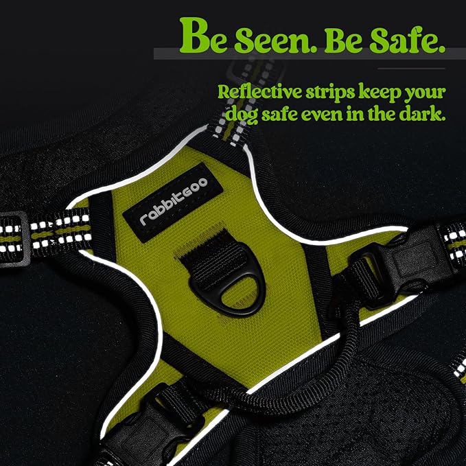 rabbitgoo Dog Harness No Pull with 2 Leash Clips, Adjustable Soft Padded, Reflective Oxford No Choke Pet Vest with Easy Control Handle for Puppy, Green, XS