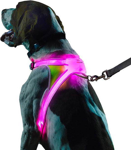 Noxgear LightHound - Multicolor LED Illuminated, Reflective Dog Harness (Medium)