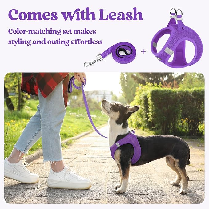 rabbitgoo Dog Harness Small Sized and Leash Set, Step in Soft Light Puppy Vest, Breathable Mesh Pet Harness, Reflective for Safe Outdoor Walking, Purple XS