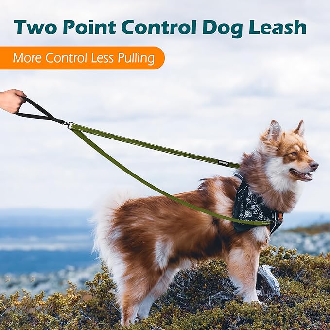 PetBonus Two Point Control Dog Leash, Works with No Pull Harnesses, No Tangle Dog Training Leashes, No Pull Padded and Reflective Walking Lead, Converts to Single Leash for Large Dogs (Khaki Green)