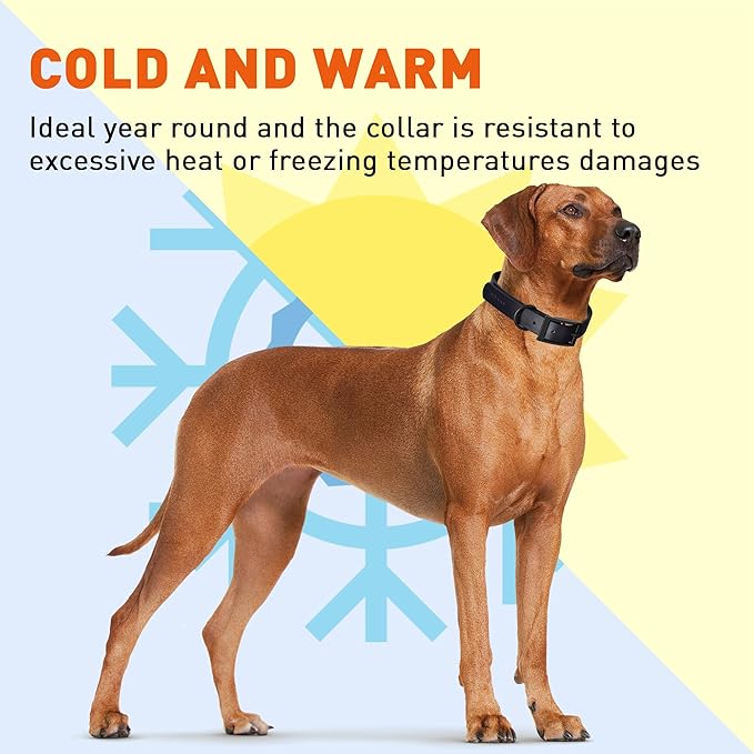 Dogline Biothane Waterproof Dog Collar Strong Coated Nylon Webbing with Black Hardware Odor- Proof for Easy Care Easy to Clean High Performance Fits Small Medium or Large Dogs, Black