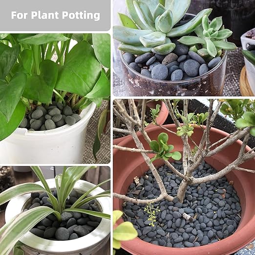 45lb River Rocks Pebbles for Plants & Succulents, Decorative Outdoor Landscaping Garden Rocks, Natural Small Mexican Beach Pebbles Aquarium Rocks Gravel for Fish Tanks Vase Yard Decor