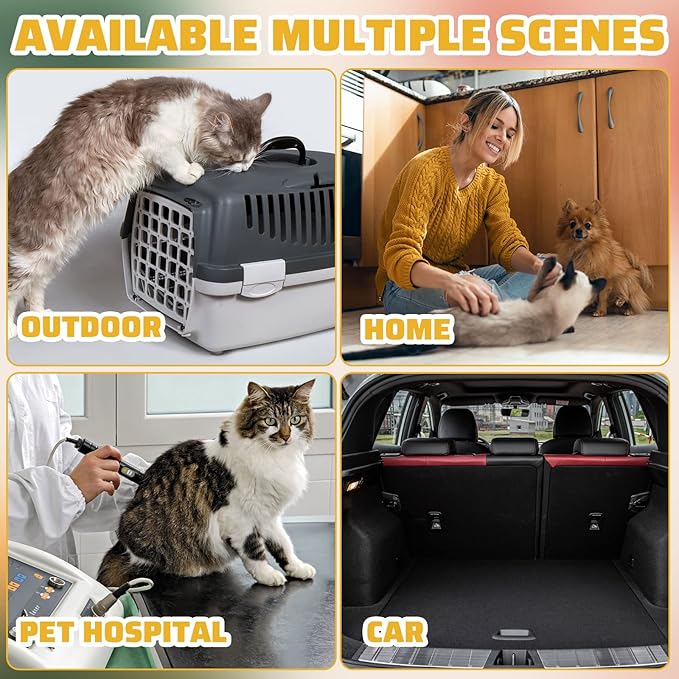 Zubebe 50 Pack Disposable Cat Litter Box for Cats, Large Disposable Kitty Litter Tray Boxes 19.69 x 15.75 x 3.94 Inches Plastic Pets Pan Standard for Indoor Home Travel Portable(Black)
