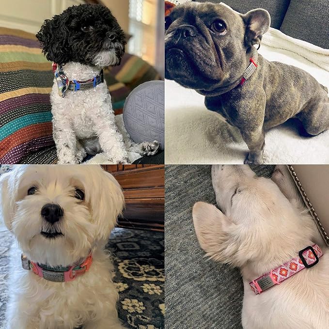 Personalized Dog Name Tag - Slide On Cat ID - Custom Collar Tags for Small, Medium, Large Dogs & Cats - Silent Customized Puppy Identification