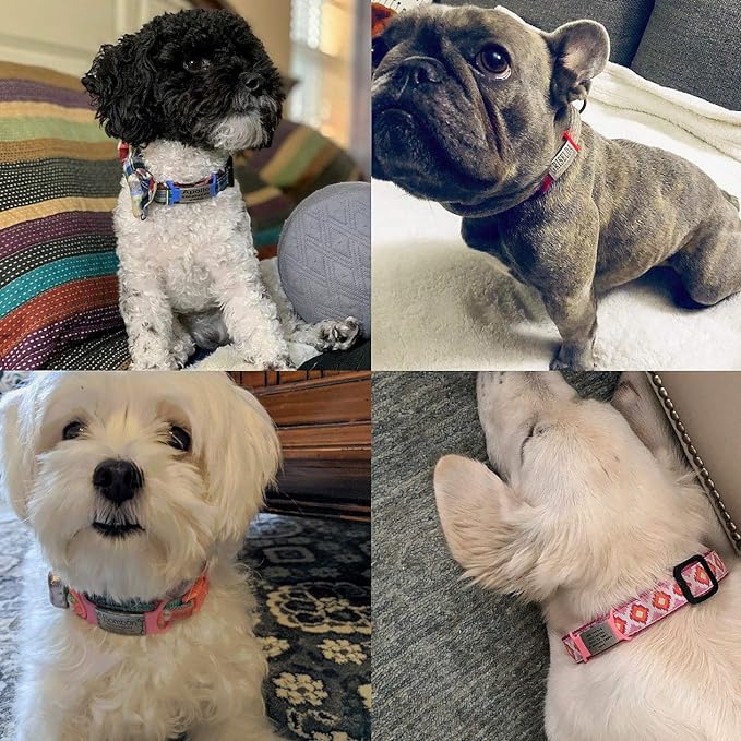 Personalized Dog ID - No Noise - Engraved Dog Name - Slide On Cat ID - Custom Collar Tags for Small, Medium, Large Dogs & Cats