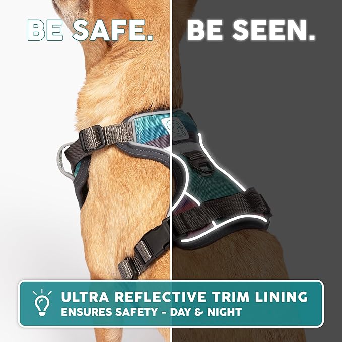 Embark Adventure Dog Harness, Reflective Trim No Pull Harness for Medium Sized Dog - Military Grade Nylon, Front Clip with Gel Lined Handle. Soft & Padded Puppy