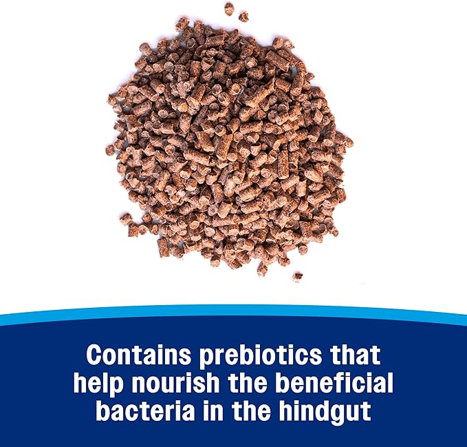 Farnam Hindgut Stabilizer Pellets, Daily Digestive & Immune Supplement for Horses Helps Maintain a Balanced Microbiome for Optimal Digestion