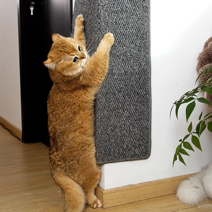 SHENGOCASE Thickened Cat Wall Corner Climbing Carpet, Cat Wall Furniture, Wall Corner Scratcher, Scratching Post (Gray), Grey