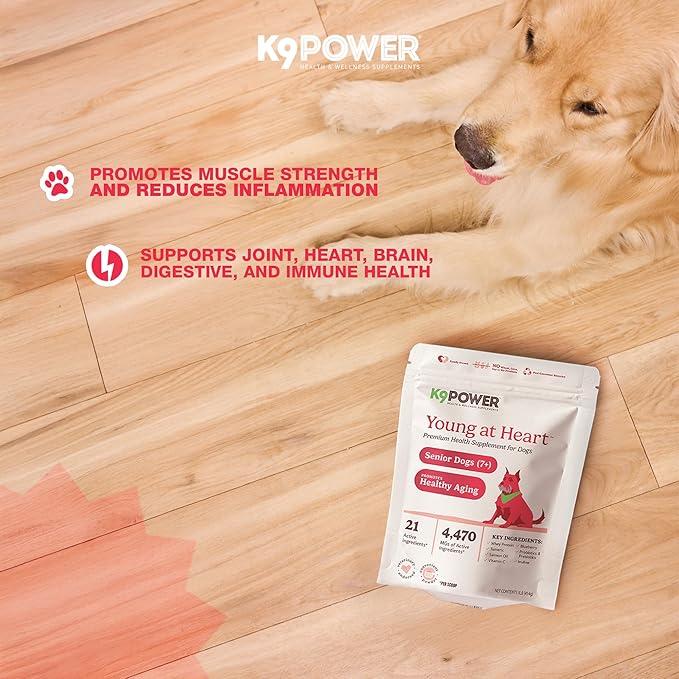 K9 Power Young at Heart Senior Dog Multivitamin 1 lb – Supplement for Brain Heart, Vision & Mobility Support in Senior Dogs - Pack of 2
