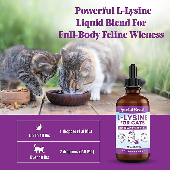 Special Breed L-Lysine for Cats & Kittens – Immune, Respiratory & Eye Health Support – Liquid Cat Supplement with Astragalus, Burdock, Atractylodes, Dangshen & Vitamins A, B1, B2, B6 – 4oz (120mL)
