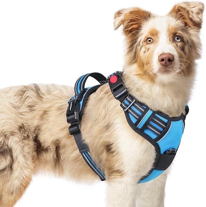 rabbitgoo Dog Harness Medium Sized, No Pull Pet Harness with 3 Buckles, Adjustable Soft Padded Vest with Control Handle, Walking Reflective Pet Vest for Medium Dogs, Sky Blue, M